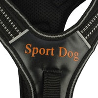 Harness Large Dog Sport