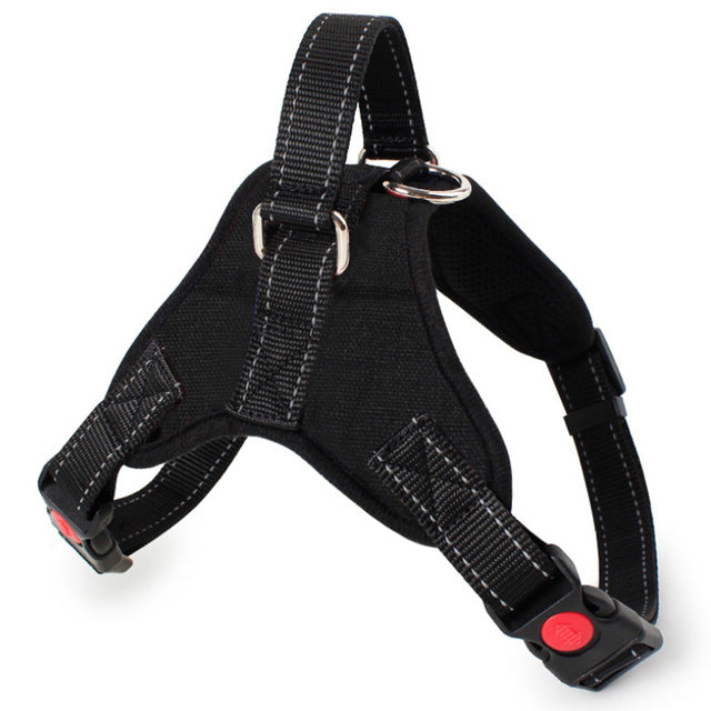 Harness Nylon Reflective