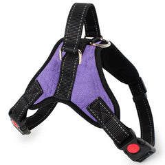 Harness Nylon Reflective