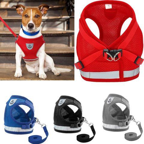 Harness and Leash Set for Chihuahua