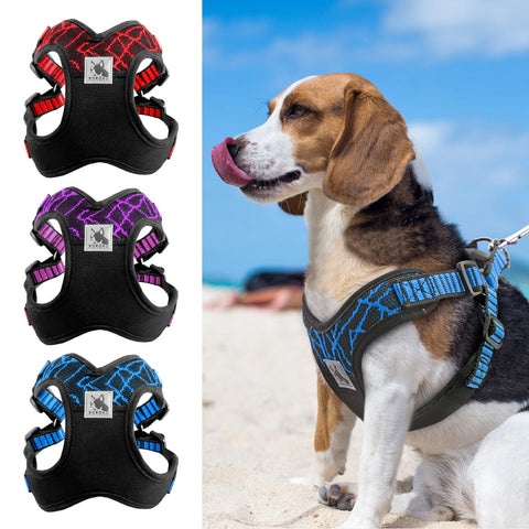 Reflective Dog Harness For  Outdoor