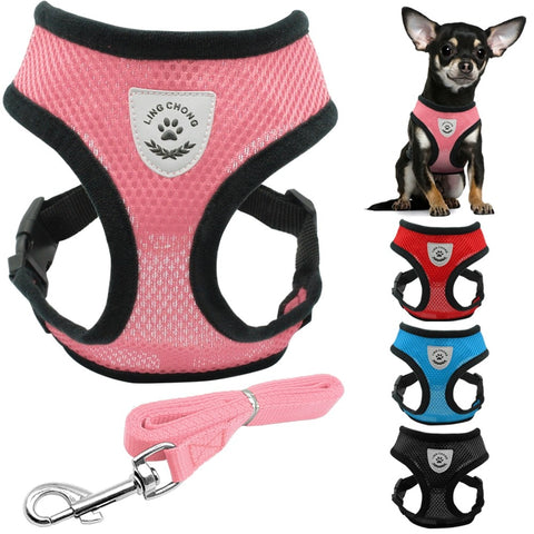 Harness and Leash Set Puppy