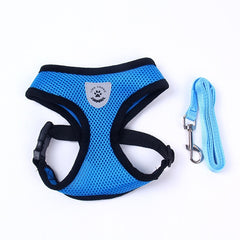 Harness and Leash Set Puppy