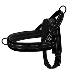 Harness Nylon Large Dog