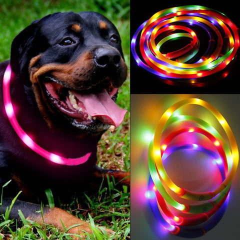 Dog collar led light Waterproof USB Rechargeable