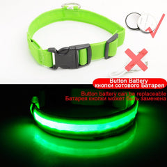 Glowing LED Dog Collar Anti-Lost