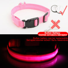 Glowing LED Dog Collar Anti-Lost
